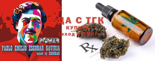 индика Абаза