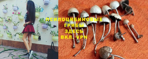 хмурый Алексин