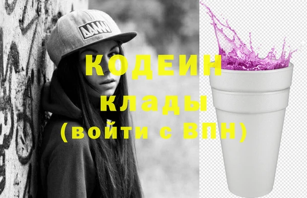индика Абаза