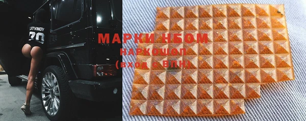 индика Абаза