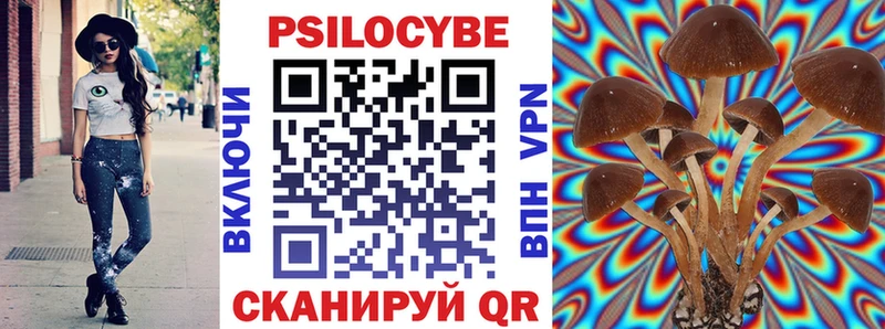 Галлюциногенные грибы ЛСД  Княгинино 